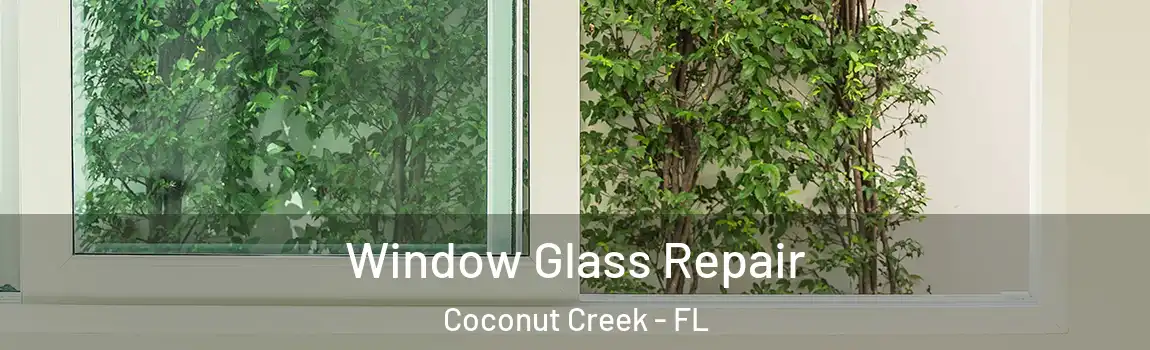 Window Glass Repair Coconut Creek - FL